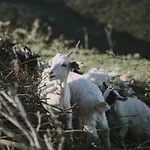Agroturismo L'aquila