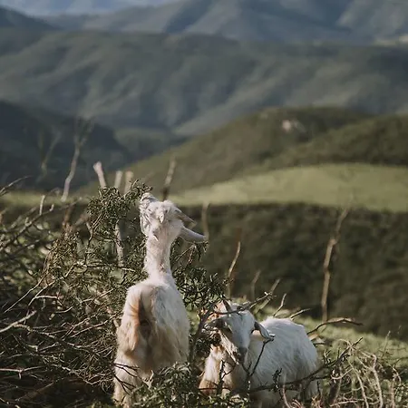 L'aquila Agroturismo