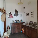 L'aquila *