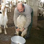 Farm stay L'aquila Arbus