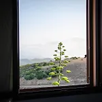 Farm stay L'aquila Arbus