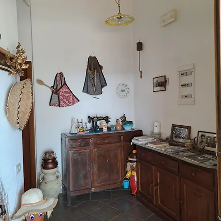 L'aquila *