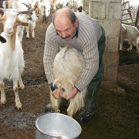 Farmház L'aquila Arbus